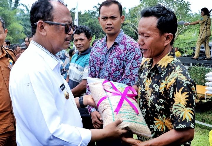 Dalam Rangka Launching Gerakan Tanam, Wakil Bupati Simalungun lakukan tanam padi perdana