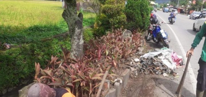 DLH Kota Solok Tanam Melakukan Penanaman Bunga di Taman Partisipan,  Kelurahan VI Suku, Kota Solok