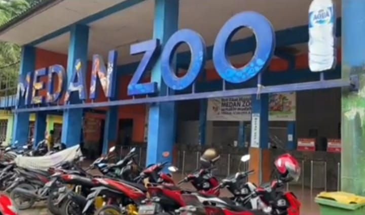 Siap Sambut Wisatawan libur lebaran, Penutupan Medan Zoo Ditunda Sampai Setelah Lebaran