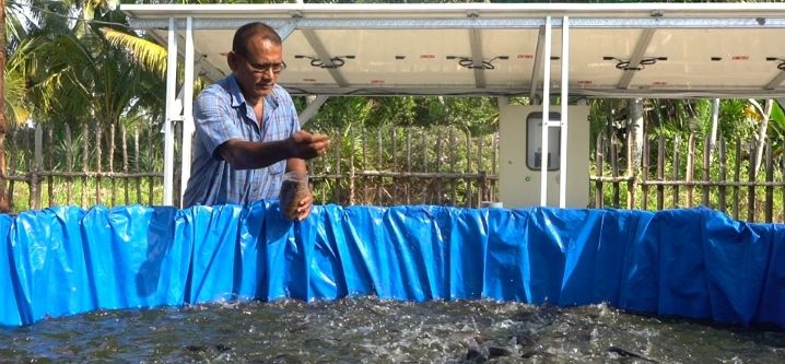 Inalum Dorong Penggunaan Energi Mandiri Pembangkit Listrik Tenaga Surya