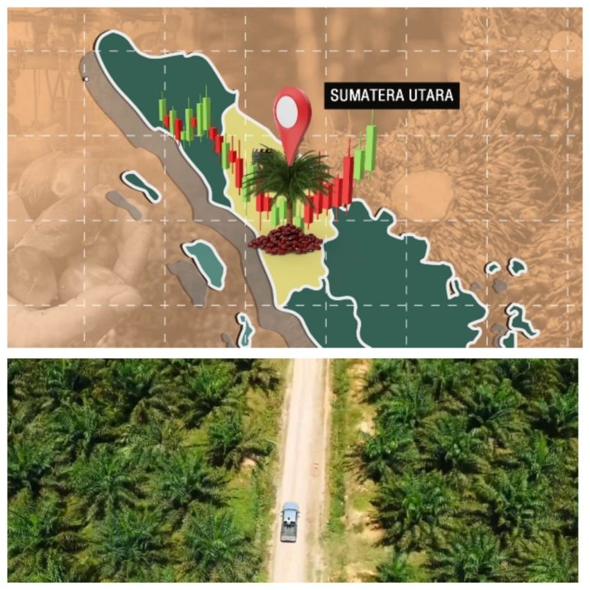 ICDX Bidik Potensi Pasar Fisik CPO di Sumatera Utara