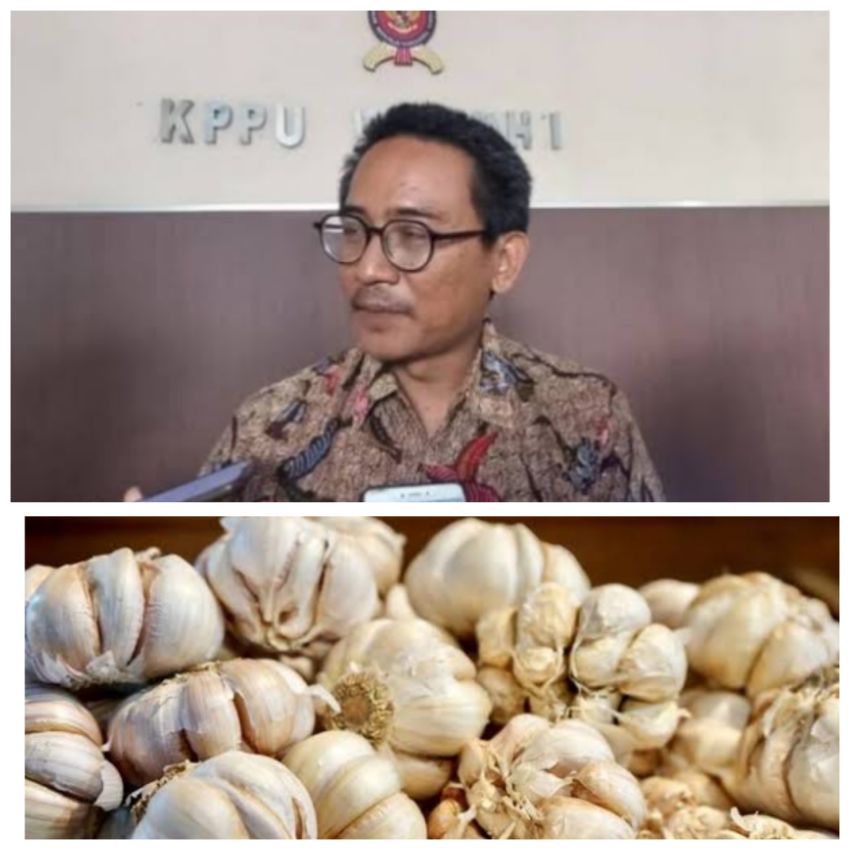 Harga Bawang Putih Mahal, KPPU Kanwil I Akan Panggil Pelaku Usaha