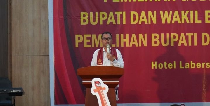 KPU Toba Luncurkan 'Si Hasapi' Sebagai Maskot Pilkada, Sampaikan Pesan Damai Untuk Pesta Demokrasi