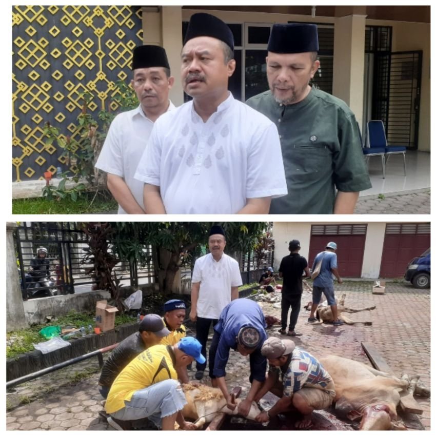 Idul Adha 1445 H, PWI Sumut Sembelih 5 Ekor Sapi & 3 Ekor Kambing