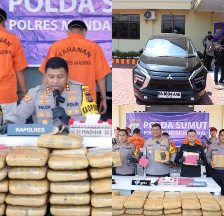 Kapolres Madina Pimpin Pres release Pengungkapan Penangkapan 3 Tersangka Kurir Ganja Ratusan Ball,