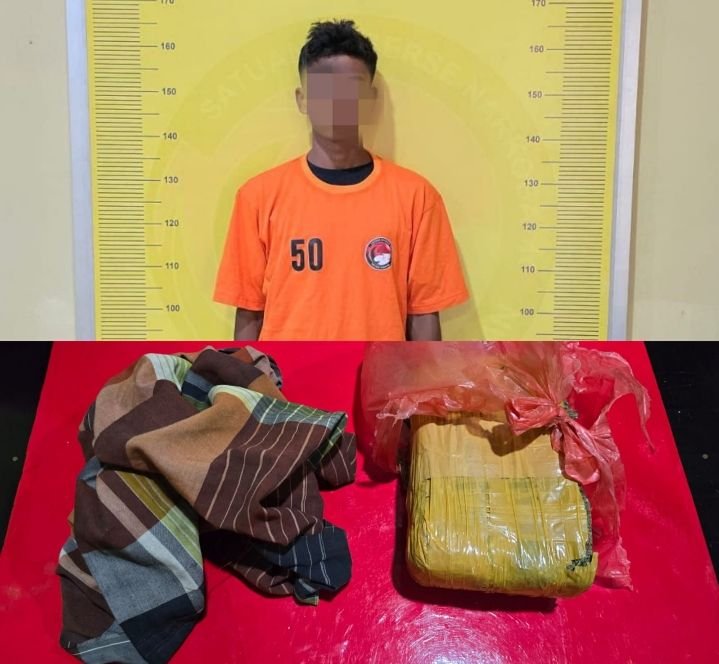 Tertangkap Warga Mencuri Sepeda Motor, Setelah Diperiksa Pelaku Juga membawa Ganja Kering