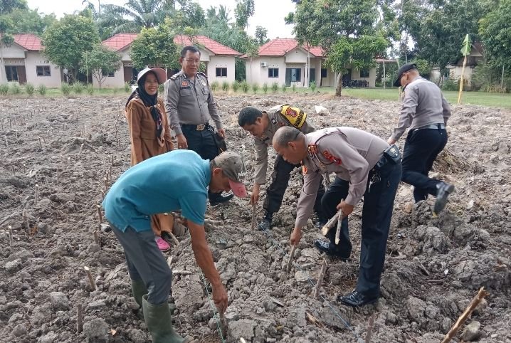 Penanaman Pohon Oleh Kapolsek Bersama Bhabinkamtibmas Polsek Simpang Empat Polres Asahan