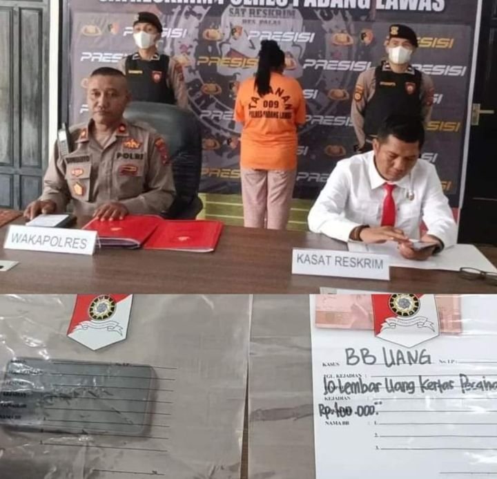 Pelaku Penipuan Penerimaan Pegawai Berhasil Diamankan Satreskrim Polres Palas