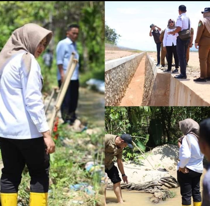 Respon Cepat Wabup Atika Nasution pada Puluhan Hektar Lahan Pertanian Terendam Banjir di Penyabungan Utara Madina