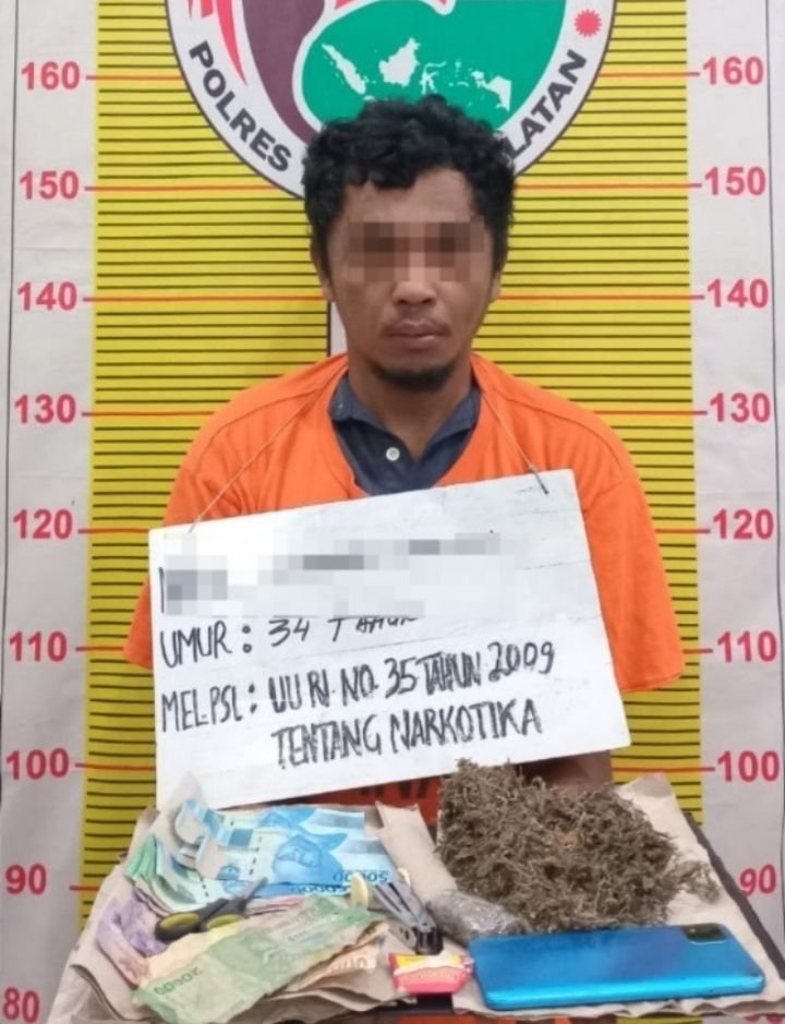 Didalam Pondok Sayur Matinggi Pengedar Ganja di Bekuk tim Satresnarkoba Polres Tapsel