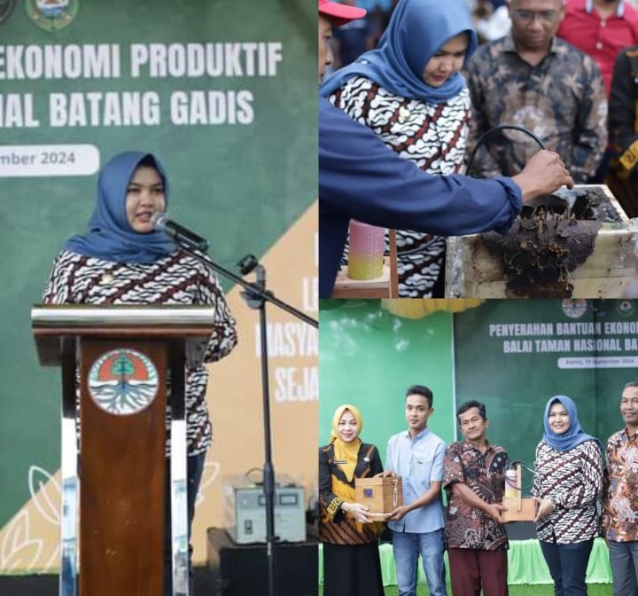 14 KTH Madina Terima Bantuan Ekonomi Produktif Dari TNBG,