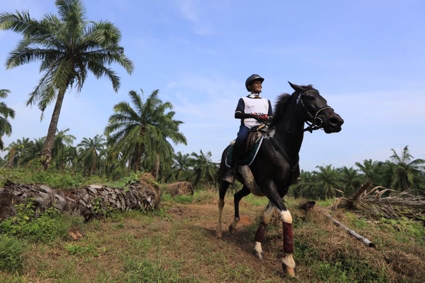 Cabor Berkuda: Jakarta dan Jawa Barat Raih Emas, Sumut Sumbang Perunggu