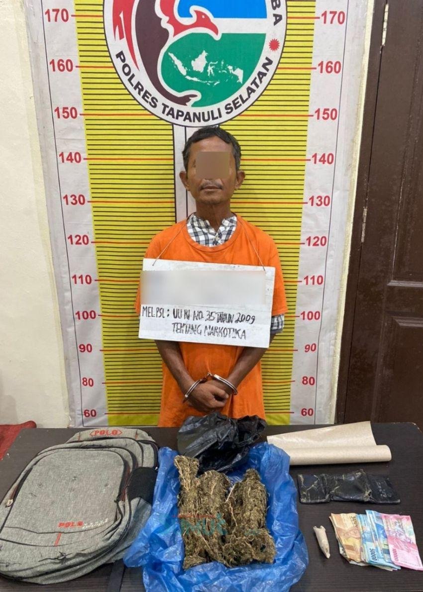700 Gram Ganja Ditemukan di Rumah Pengedar, Polres Tapsel Gencar Berantas Narkoba