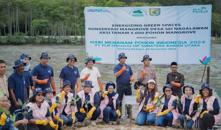 Sambut Natal dan Tahun Baru, Srikandi PLN Gelar Aksi Tanam 5.000 Mangrove di Sergai