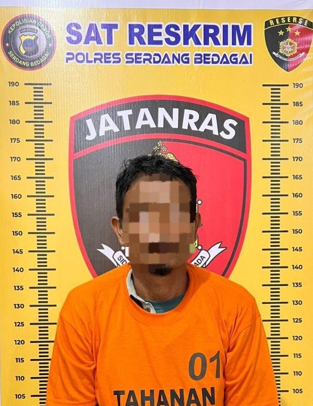 Tak Sampai 1x24 Jam Polres Sergai Tangkap Suami bunuh istri Motif diduga Cemburu