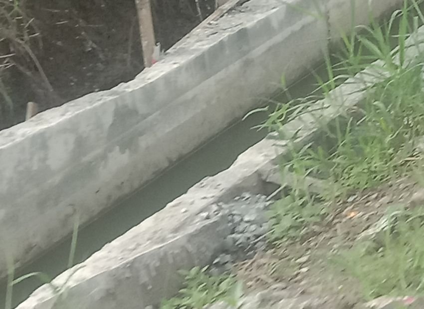 Pemkab Deliserdang Pelihara Kontraktor Nakal, Drainse Rp 1 Milyar Di Paya Gambar Diduga Amburadul