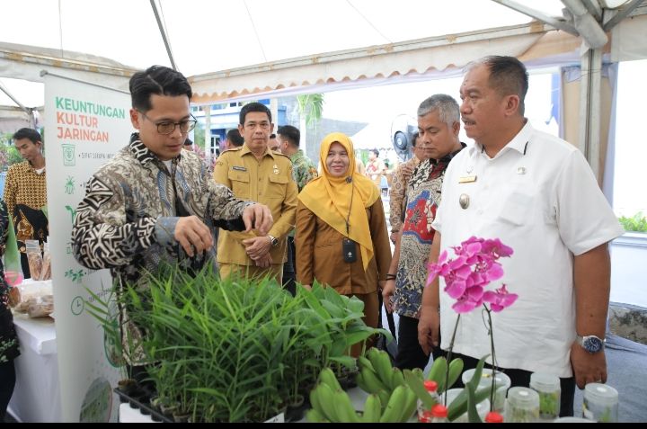 Wakil Bupati Asahan Ikut Tinjau Job Fair Pemprov Sumut