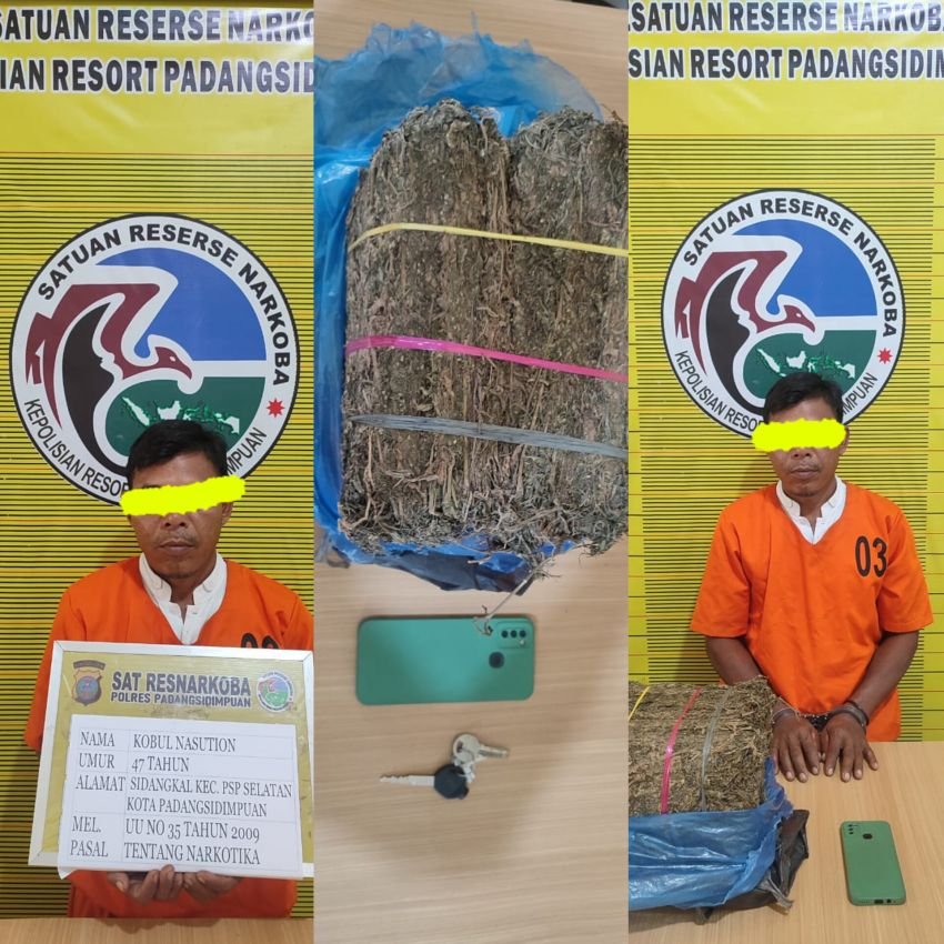 Jelang Nataru, Polres Padangsidimpuan Gagalkan Peredaran 4 Kg Daun ganja, AKBP Dr Wira Prayatna :Tingkatkan Pengamanan dan Berikan Pelayanan Terbaik