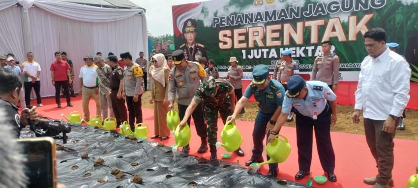 Polda Sumut Targetkan Panen Jagung 100 Ribu Ton