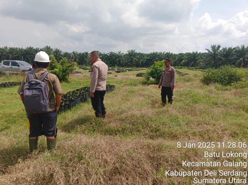 Dukung Program Pemerintah Ketahanan Pangan, Polresta Deli Serdang siap turut gelar Penanaman jagung serentak