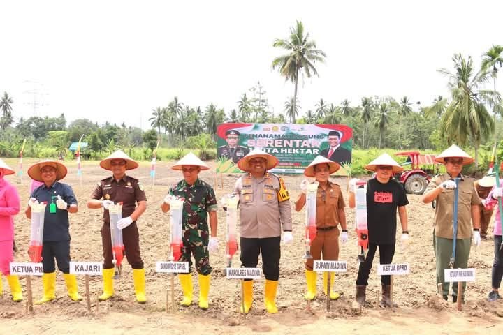 Kemenpan RI untuk Polres Madina Target lahan seluas 2.727,27 Hektare.Kapolres AKBP Arie Paloh hanya 13,7 Hektare..???