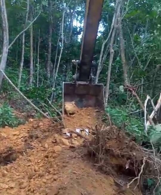 Program PSR Labura Diduga Sarat KKN, GM PENA Desak Poldasu & Kejatisu Periksa Kadis Pertanian Labura dan Ketua Koperasi PBKS