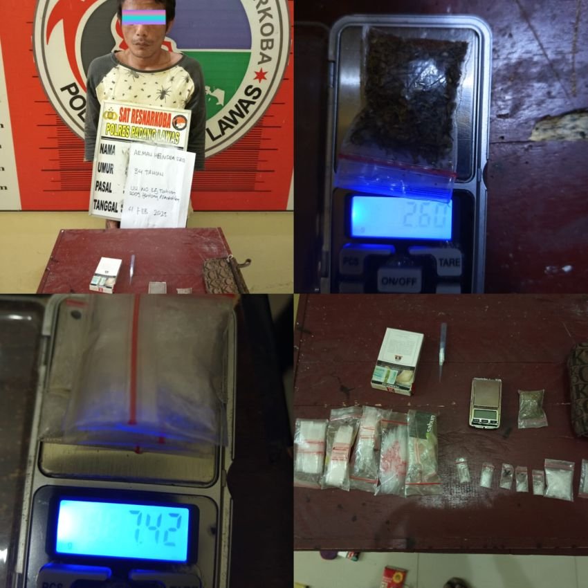 Satresnarkoba Polres Palas Tangkap Seorang Lagi Pengedar Sabu dilokasi Kebun Masyarakat Desa Sungai Korang