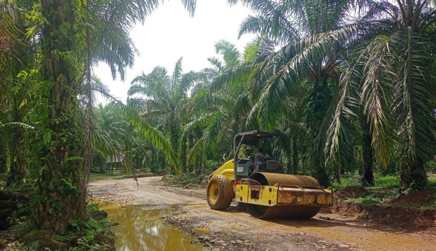 Dikebut Demi Akses Lebih Baik! Satgas TMMD ke-123 Kodim 0212/Tapsel Genjot Pengerasan Jalan di Desa Pintu Padang Palas