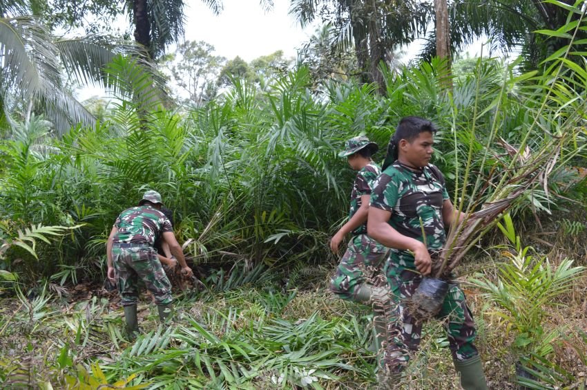 Langkah Nyata untuk Kesejahteraan Masyarakat, Satgas TMMD Ke-123 Bantu Warga Tanam 185 Bibit Sawit di Desa Paringgonan Palas