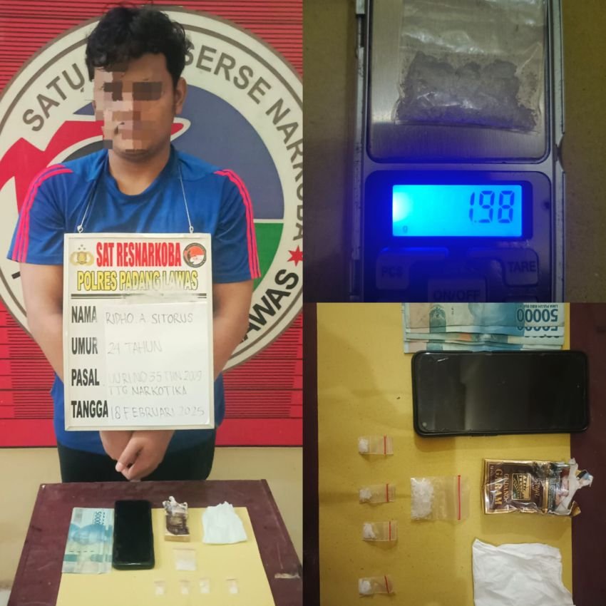 Satresnarkoba Polres Palas Tangkap Pengedar Sabu di Kebun Sawit, Ini Kronologinya!