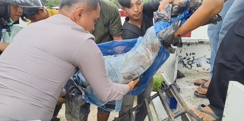 Truck Bermuatan Sirtu Lindas Seorang Pria Paruh Baya di Sihoring Koring Padangsidimpuan, Ini Keterangan Kasat Lantas AKP Rianto Polman