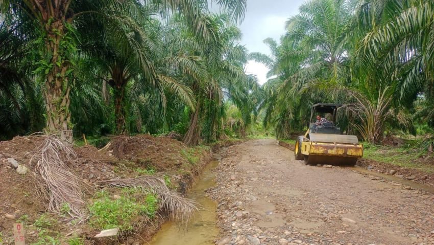 Transformasi Jalan Desa Pintu Padang: Satgas TMMD Ke-123 Kodim 0212/Tapsel Percepat Pengerasan Jalan dengan Alat Berat Bomak