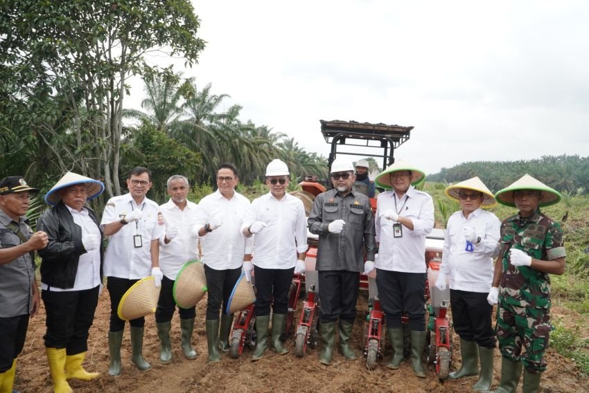 Komitmen Wujudkan Food Security PTPN IV PalmCo Perluas Program Tanam Padi PTPN ke Provinsi Jambi