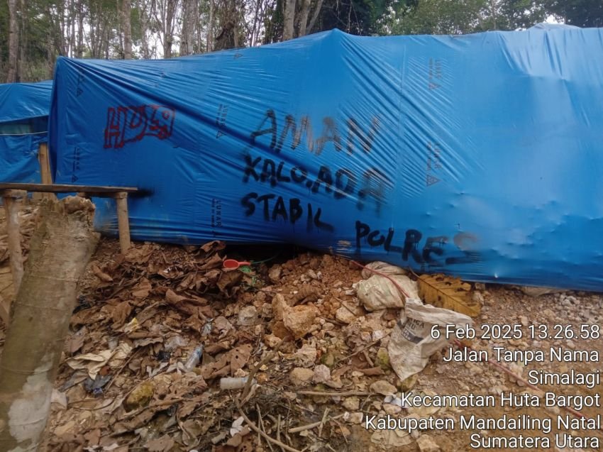 Penutupan Tambang Emas di Kota Nopan: Langkah Tegas atau Sekadar Pencitraan?