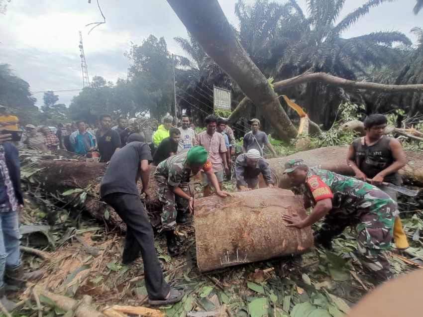Gercep Kodim 0212/Tapsel Evakuasi Pohon Tumbang Yang Menutup Akses jalan Raya,Ini Keterangan Letkol Arm Delli Yudha Adi Nurcahyo