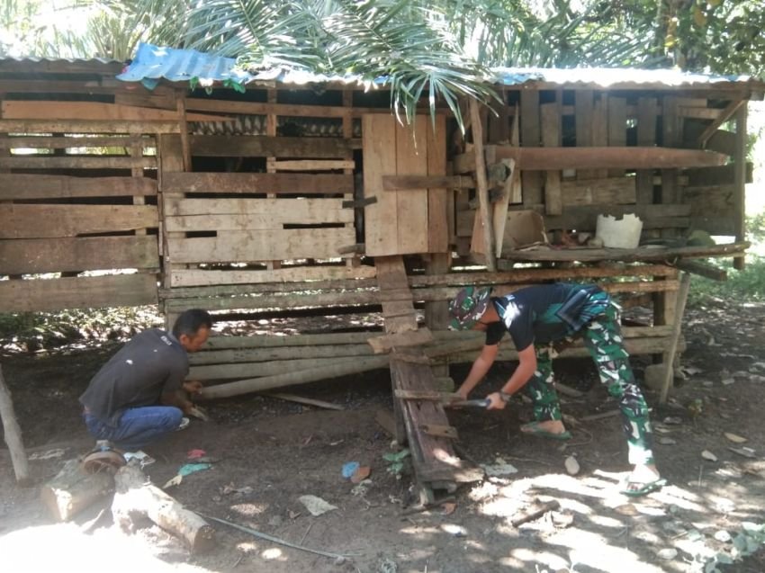 Satgas TMMD ke-123 Kodim 0212/Tapsel: Dari Kandang ke Kebun, Kisah Praka Fahmi Membantu Warga Olah Kotoran Ternak Jadi Pupuk Organik