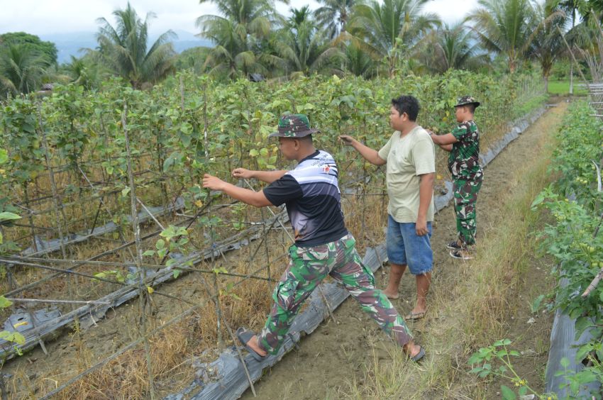Ketulusan Satgas TMMD ke-123 Kodim 0212/Tapsel, Bantu Petani Hingga Bangun Desa di Palas