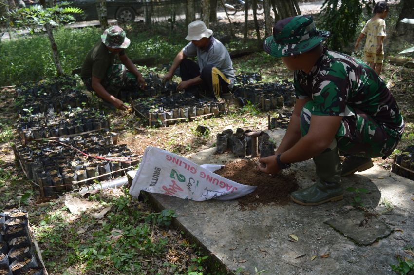 Dedikasi Tinggi Dua Prajurit TNI Satgas TMMD Ke-123 Bantu Warga Desa Pintu Padang Palas Siapkan 450 Polibet Bibit Kelapa Sawit