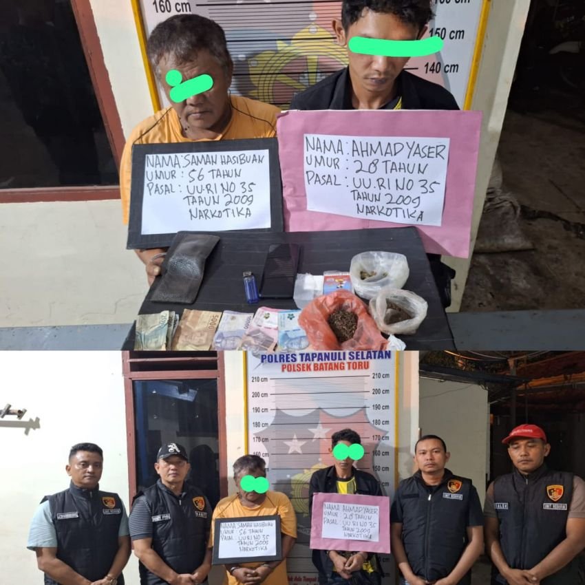 Unit Reskrim Polsek Batangtoru Polres Tapsel Berhasil Tangkap Dua Pelaku Penyalahgunaan Narkotika Jenis Ganja