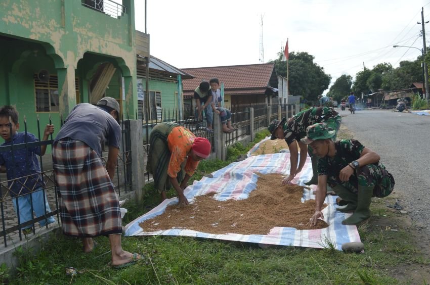 Bukti Nyata TNI Peduli pada Masyarakat, Satgas TMMD ke-123 Kodim 0212/Tapsel Bantu Warga Jemur Padi di Desa Paringgonan Palas