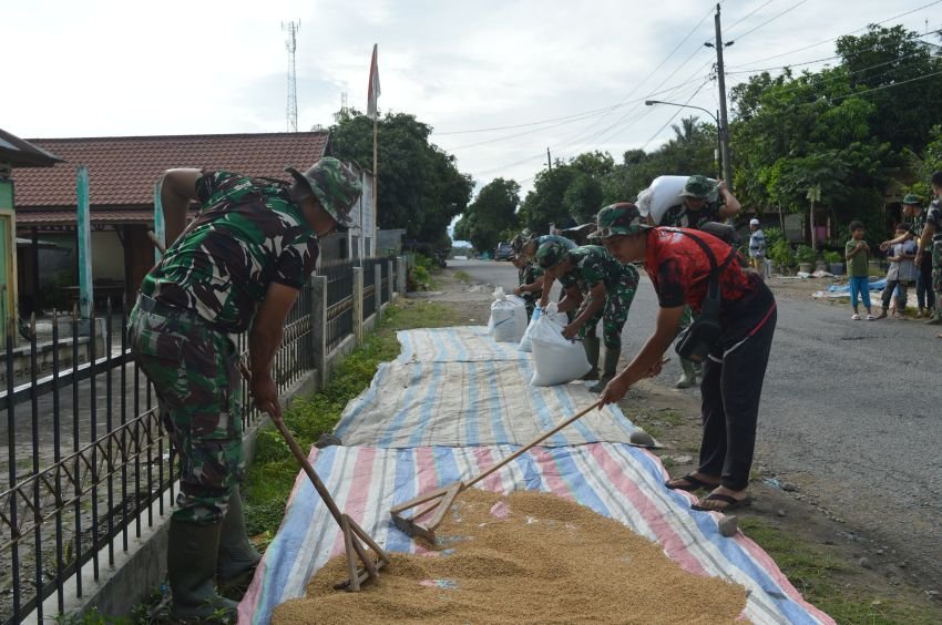 Satgas TMMD ke-123 Kodim 0212/Tapsel Bantu Jemur Padi Petani di Ulu Barumun Palas, Warga Terharu!