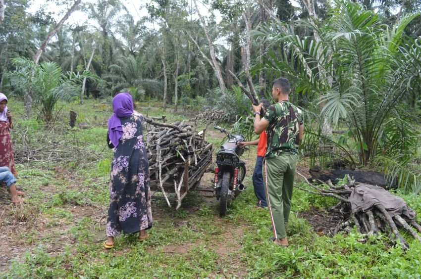 Kisah Haru Prajurit TMMD ke-123 Kodim 0212/Tapsel Bantu Nenek Bonisa Cari Kayu Bakar di Hutan Pintu Padang Palas: Bukti Kepedulian dan Kesederhanaan