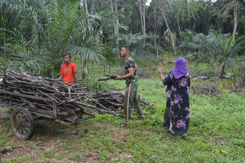 Tersentuh Hati, Anggota Satgas TMMD ke-123 Kodim 0212/Tapsel Bantu Nenek Bonisa Mencari Kayu Bakar di Hutan pintu padang Palas