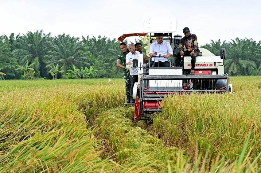 Wujudkan Tanam Padi Tiga Kali Setahun, Gubsu Minta Bantuan ke Presiden untuk Perbaikan Tanggul