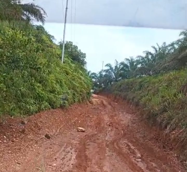 Warga Pantai Barat Mandailing Minta Perhatian Gubernur Bobby Nasution untuk Infrastruktur Jalan