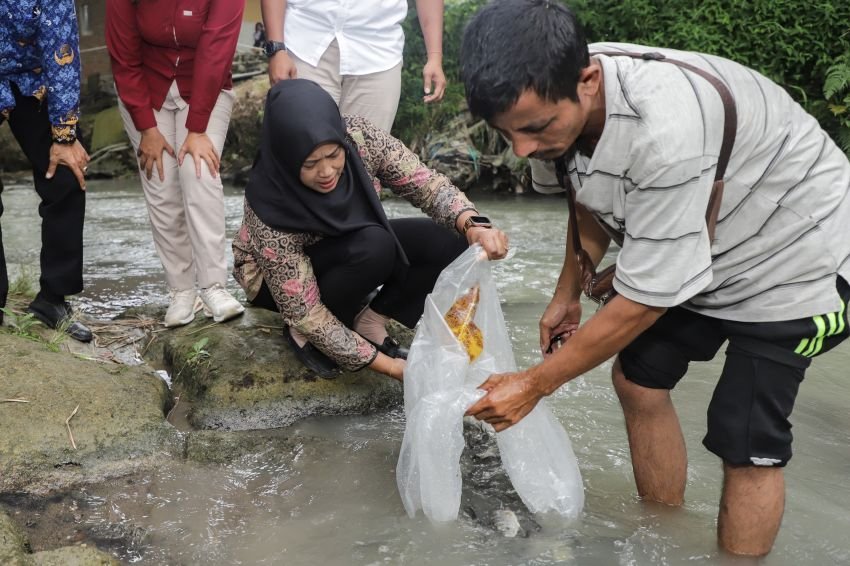 Wakil Wali Kota Pematangsiantar menebar bibit ikan Nila di dua lokasi