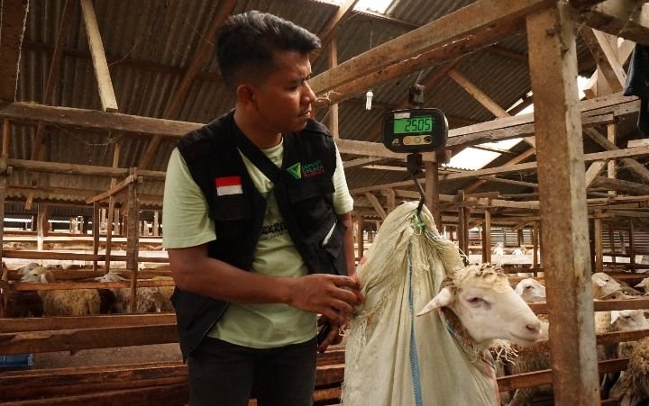 Tak Sekadar Kurban, Dompet Dhuafa Waspada Tegaskan Pentingnya Quality Control