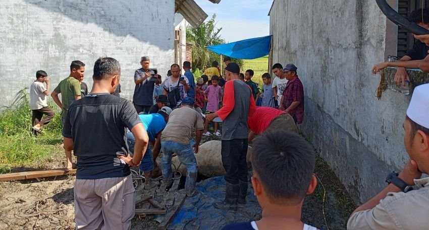 Perwiritan dan STM Silaturahmi Qurban 2 Ekor Sapi 2 Kambing, Mempererat Ukhuwah Islamiyah