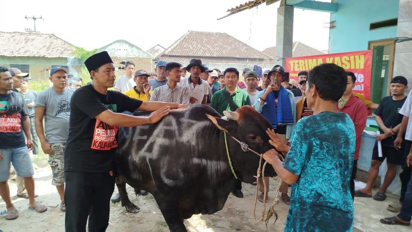 GREAT Institute Menyembelih Kurban di Tanah Terluka: Simbol Perlawanan Warga Pesisir Banten
