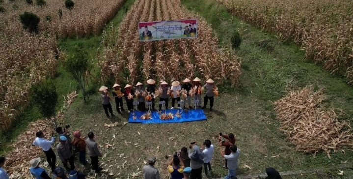 Dipimpin Presiden RI Prabowo Subianto, Bupati Solok Ikuti Panen Raya Nasional Jagung Serentak Kuartal II Tahun 2025 secara Daring